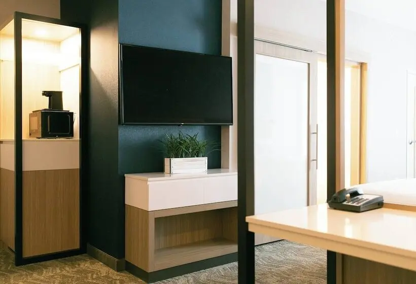 ホテル Springhill Suites By Marriott South Bend Notre Dame Area