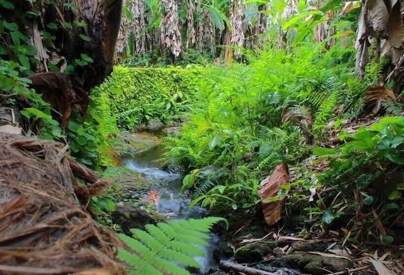 فندق Dolphin Bay