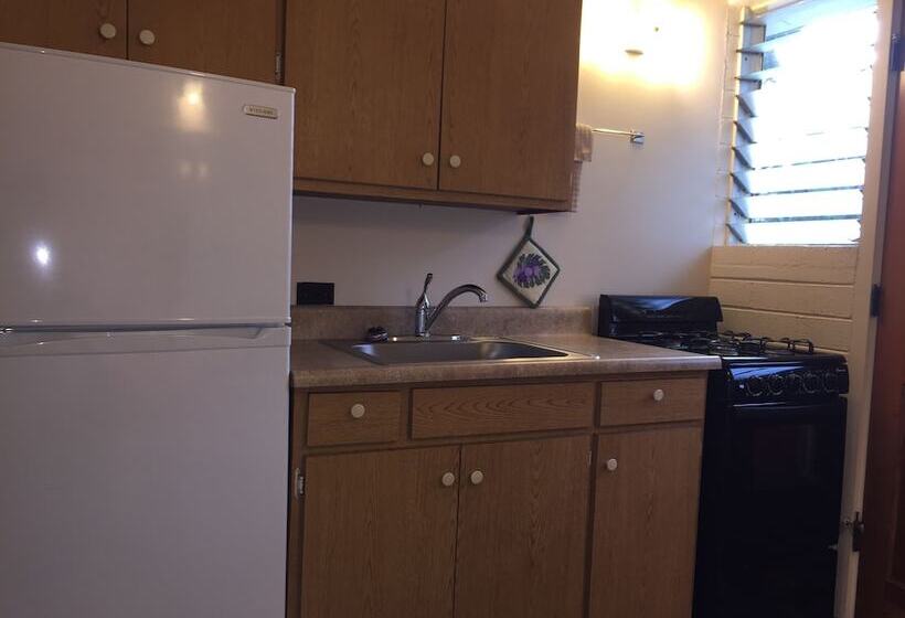 فندق Dolphin Bay