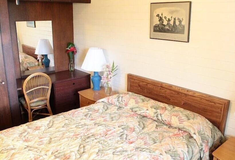 فندق Dolphin Bay