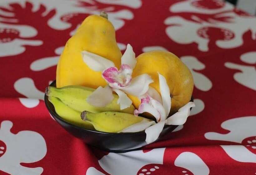 فندق Dolphin Bay