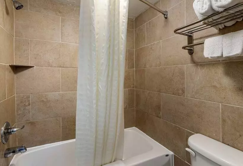 ホテル Econo Lodge North Charlottesville