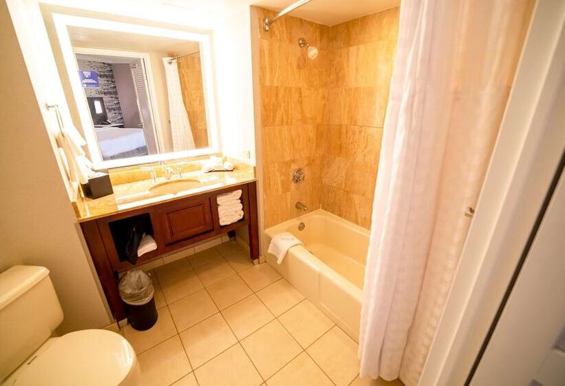 هتل Embassy Suites By Hilton Kansas City Overland Park