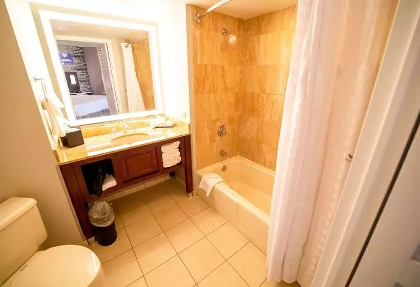 ホテル Embassy Suites By Hilton Kansas City Overland Park