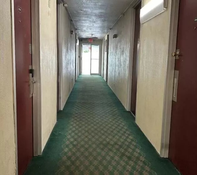 ホテル Knights Inn Gainesville Fl