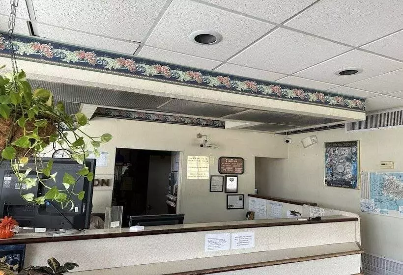 ホテル Knights Inn Gainesville Fl