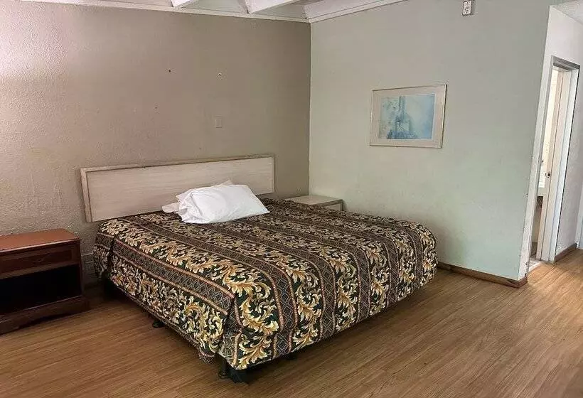 ホテル Knights Inn Gainesville Fl