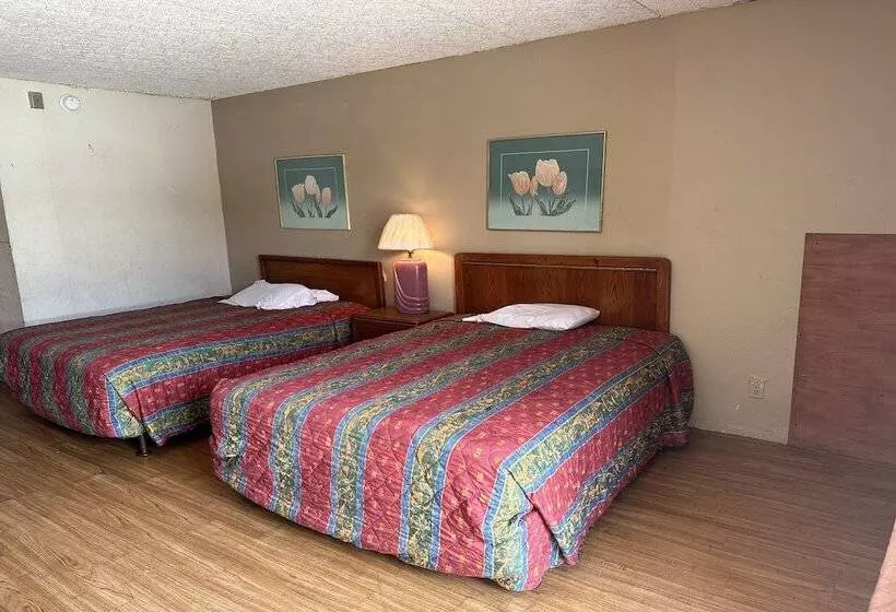 ホテル Knights Inn Gainesville Fl