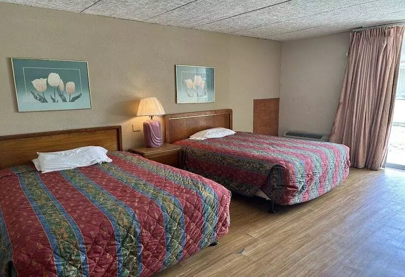 ホテル Knights Inn Gainesville Fl