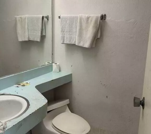 ホテル Knights Inn Gainesville Fl