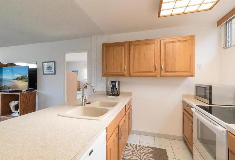 Haleakala Shores A301 Condo