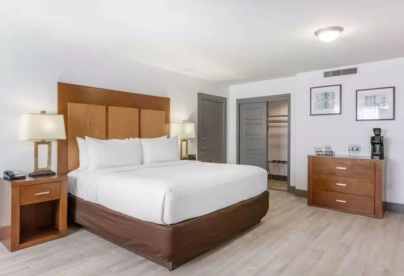 Best Western Plus El Paso Airport Hotel & Conference Center