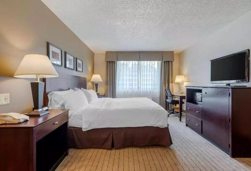 Otel Clarion Inn Elmira Horseheads