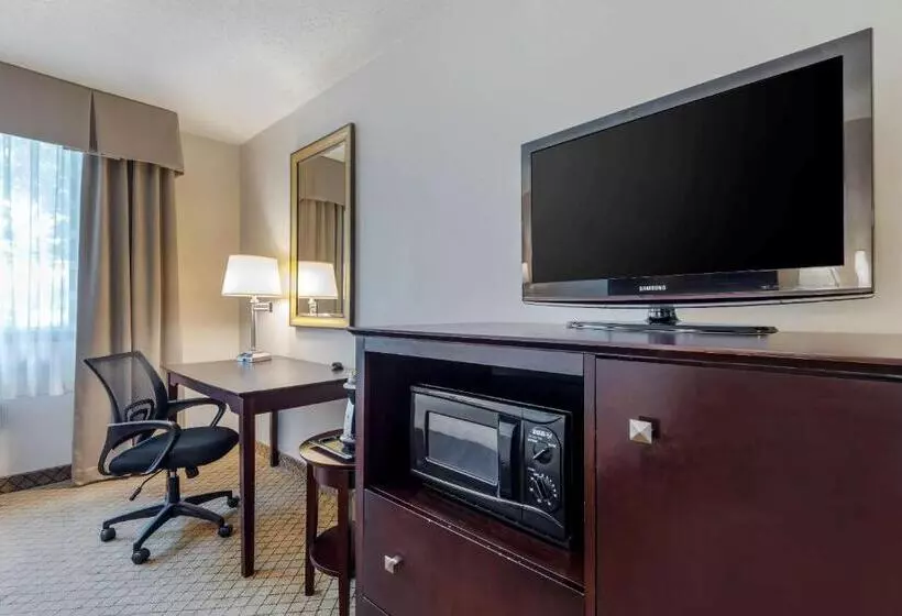 Otel Clarion Inn Elmira Horseheads