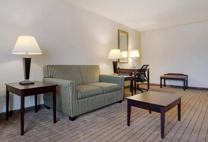 Otel Clarion Inn Elmira Horseheads