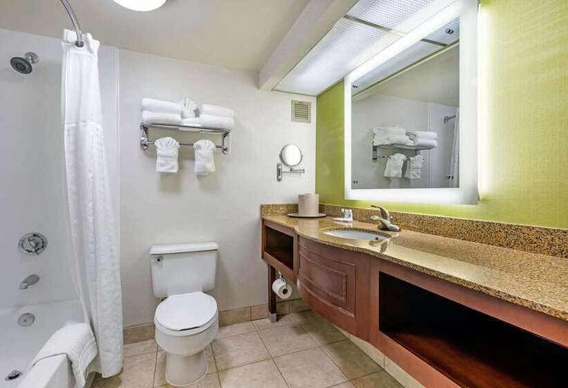 בית מלון כפרי Comfort Inn Anaheim Resort