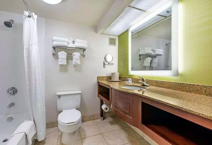 酒店 Comfort Inn Anaheim Resort