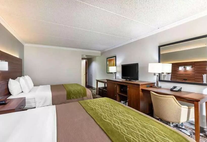 酒店 Comfort Inn Anaheim Resort