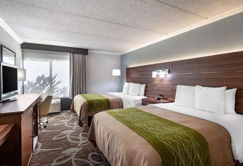 酒店 Comfort Inn Anaheim Resort