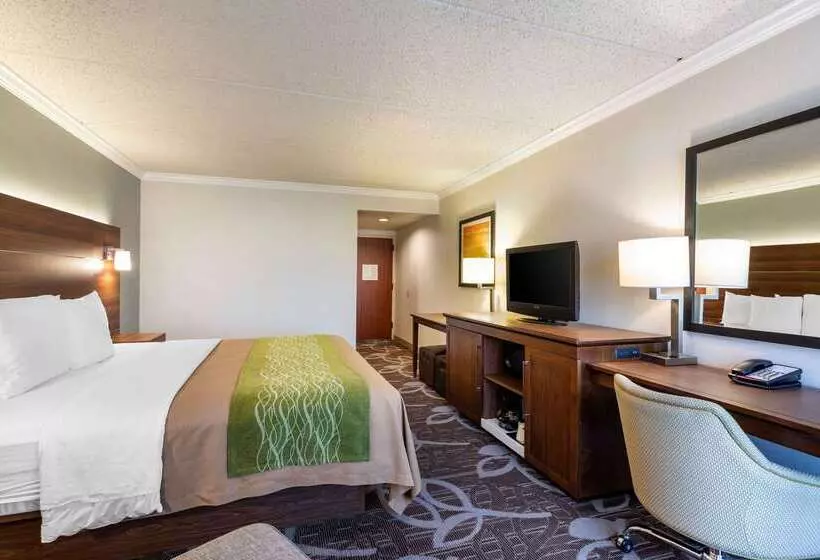 酒店 Comfort Inn Anaheim Resort