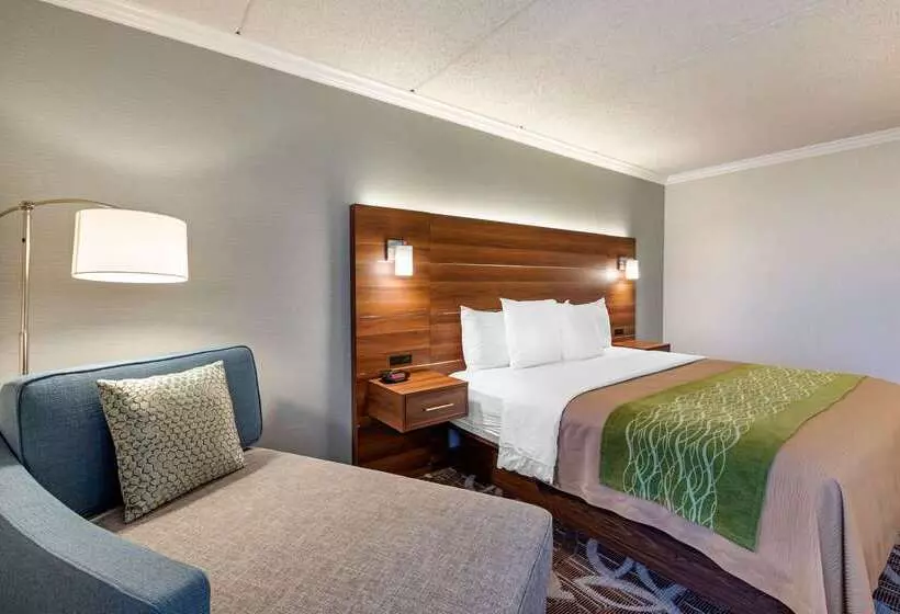 酒店 Comfort Inn Anaheim Resort