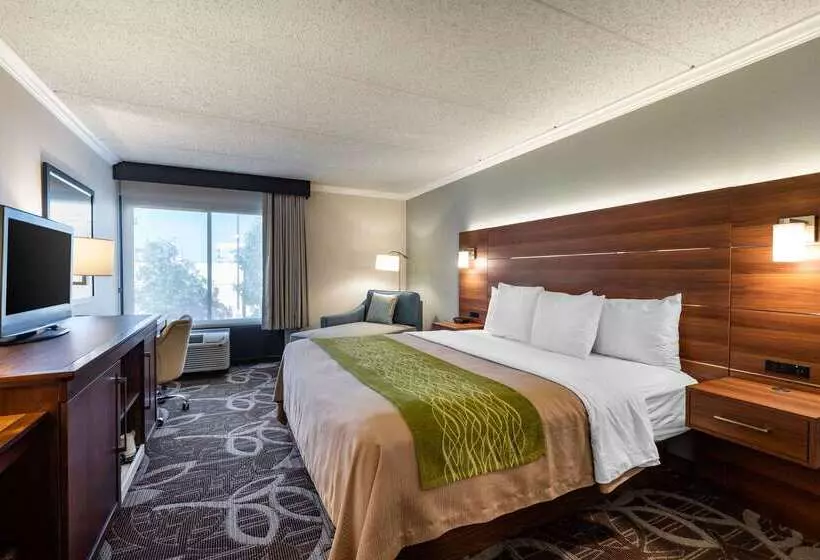 酒店 Comfort Inn Anaheim Resort