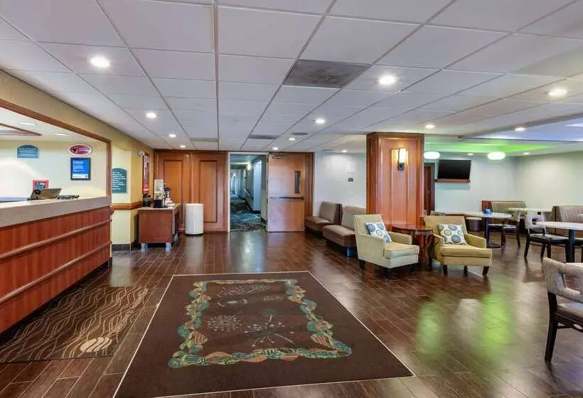 酒店 Comfort Inn Anaheim Resort