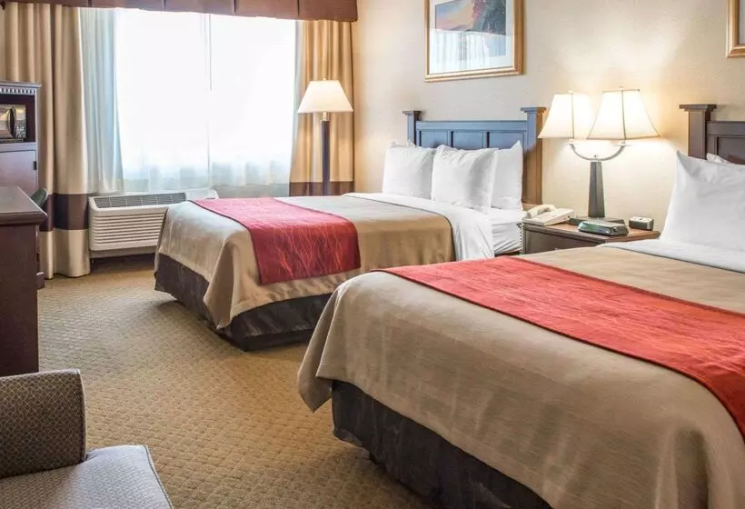 ホテル Comfort Inn