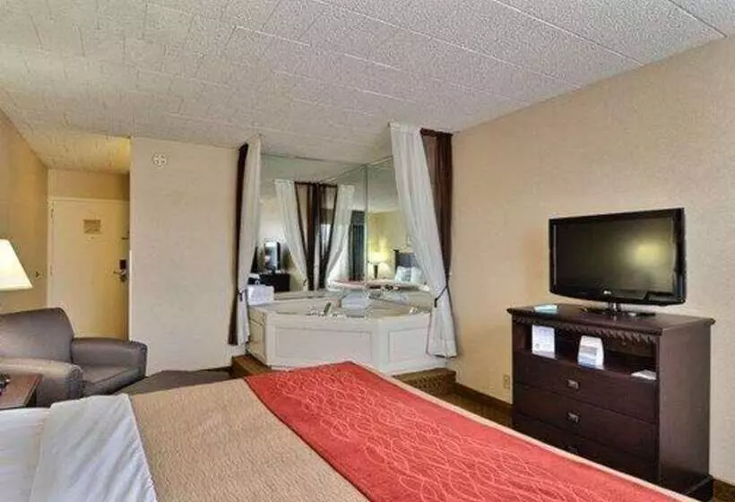 ホテル Comfort Inn