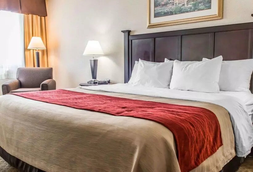 ホテル Comfort Inn