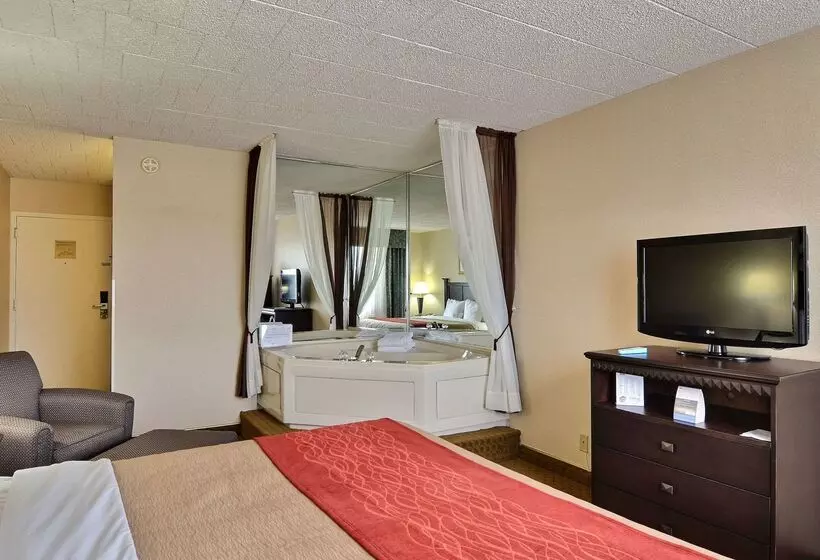 ホテル Comfort Inn