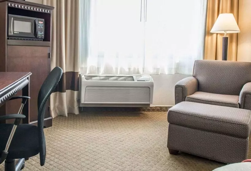 ホテル Comfort Inn