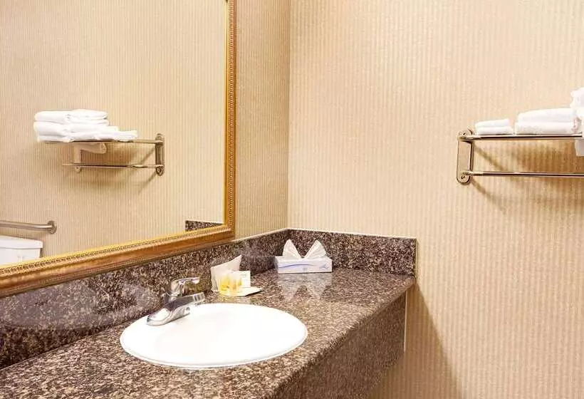 Отель Days Inn & Suites By Wyndham Artesia
