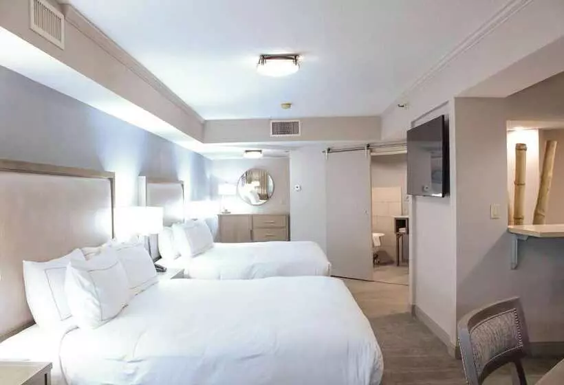 Hotel Doubletree By Hilton Phoenix Mesa