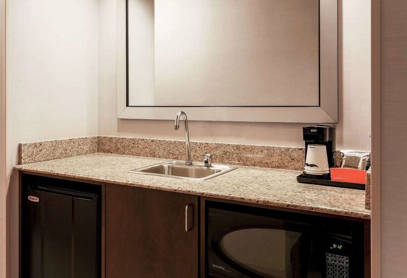 هتل Hampton Inn By Hilton Chicago Midway Airport