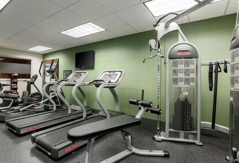 فندق Hampton Inn By Hilton Chicago Midway Airport