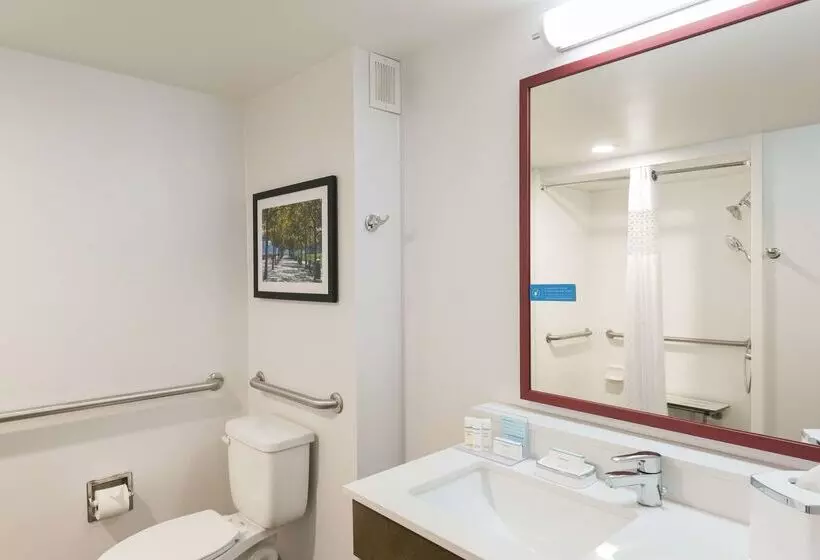 ホテル Hampton Inn Cincinnati Airport South