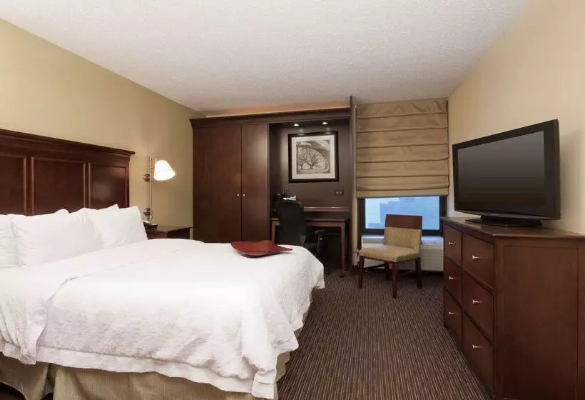 ホテル Hampton Inn Indianapolis N.e./castleton