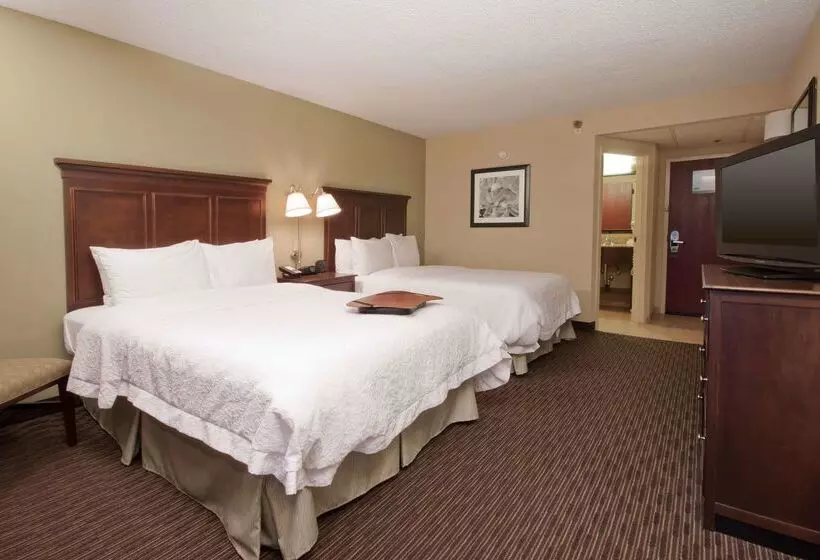 ホテル Hampton Inn Indianapolis N.e./castleton
