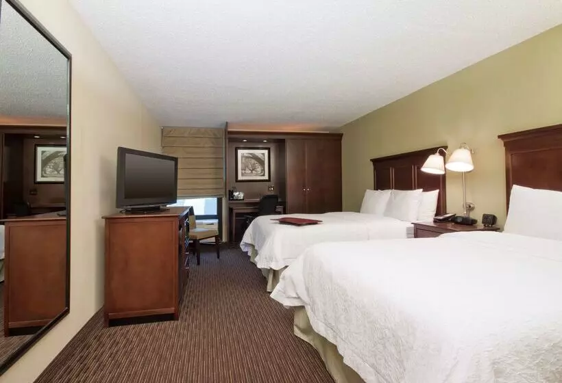 ホテル Hampton Inn Indianapolis N.e./castleton