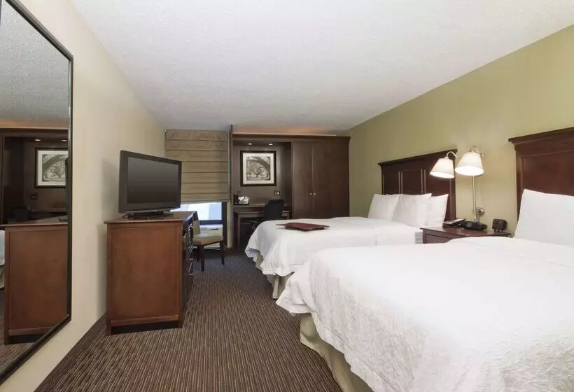 ホテル Hampton Inn Indianapolis N.e./castleton