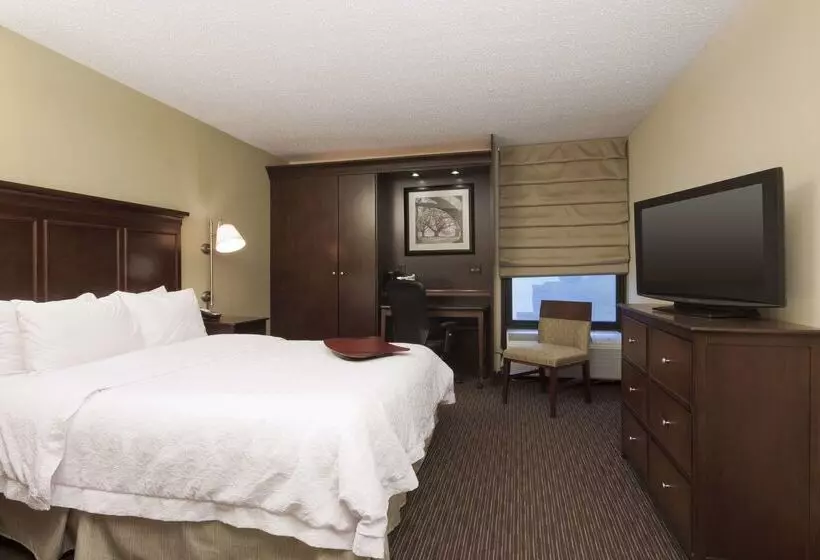 ホテル Hampton Inn Indianapolis N.e./castleton