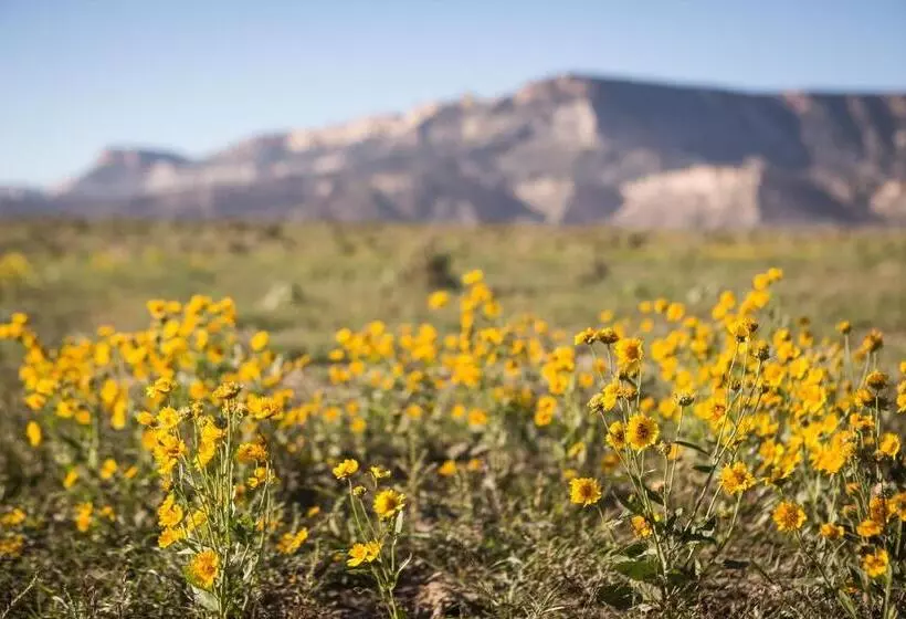 ホテル Kayenta Monument Valley Inn