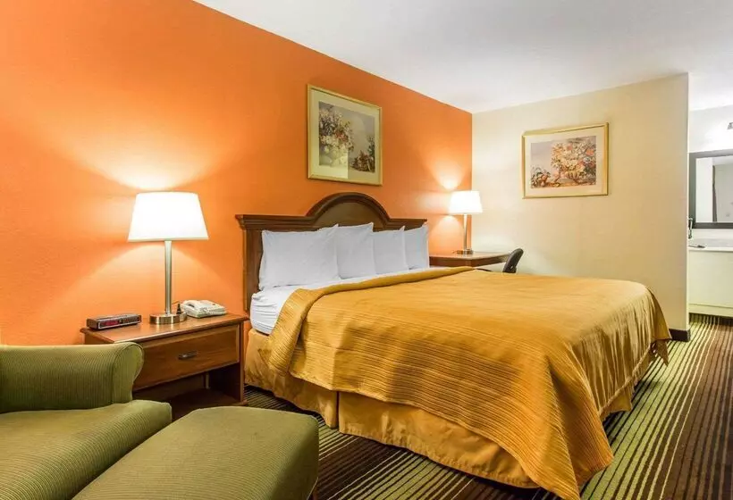 فندق Quality Inn University