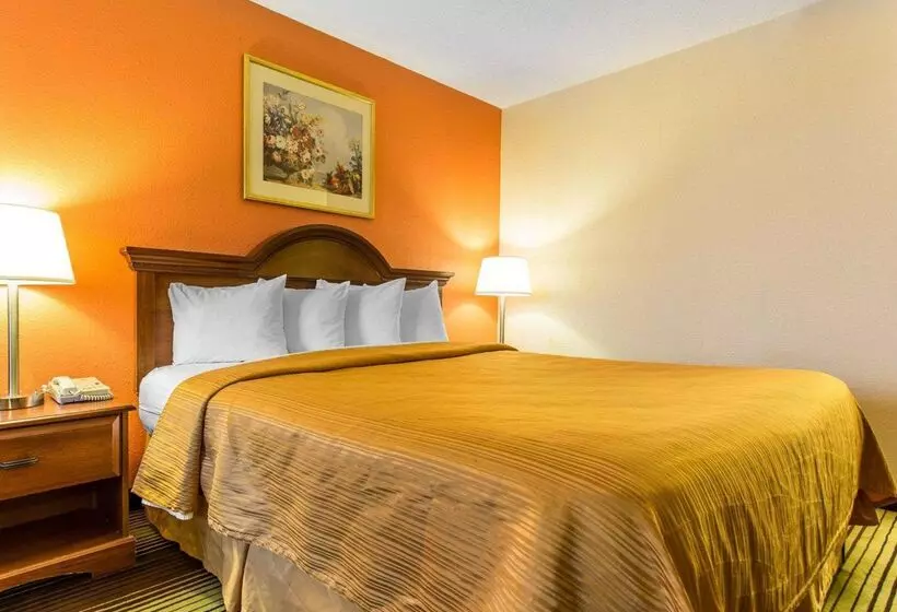 فندق Quality Inn University