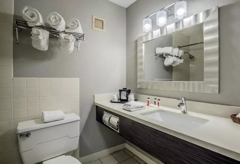 Ramada By Wyndham Mitchell Hotel & Conference Center