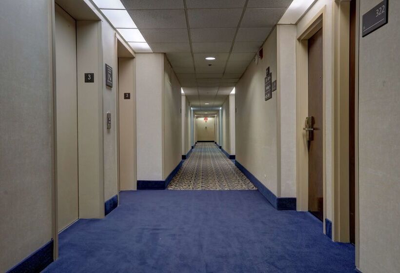 Surestay Plus Hotel By Best Western Chicago Lombard