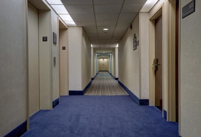 Surestay Plus Hotel By Best Western Chicago Lombard