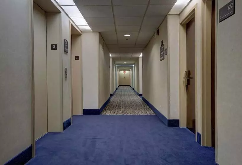 Surestay Plus Hotel By Best Western Chicago Lombard