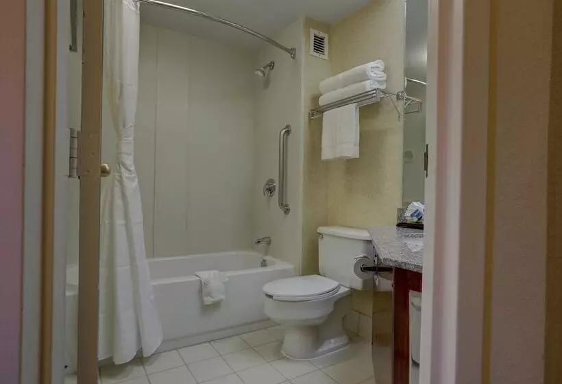 Surestay Plus Hotel By Best Western Chicago Lombard